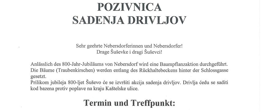 The invitation to the tree planting ceremony for the 800th anniversary of Nebergdorf. The event will be held on December 12, 2025 at 11:00 AM, at the Rückhaltebecken behind the Schlossgasse. Participants are invited to meet at the castle square.