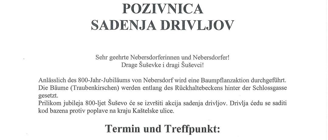 Die Einladung zur Baumpflanzzeremonie für das 800-jährige Jubiläum von Nebergdorf. Die Veranstaltung findet am 12. Dezember 2025 um 11:00 Uhr am Rückhaltebecken hinter der Schlossgasse statt. Teilnehmer sind eingeladen, sich am Schlossplatz zu treffen.