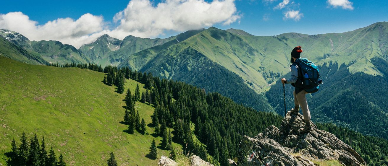 Bild enthält, Hiking, Leisure Activities, Nature, Outdoors, Person, Bag, Backpack, Backpacking, Plant, Tree