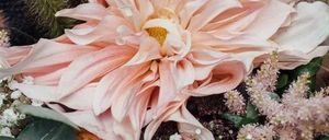 Bild enthält, Flower, Flower Arrangement, Flower Bouquet, Dahlia, Petal, Art, Floral Design, Graphics