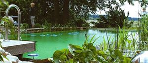 Bild enthält, Hotel, Resort, Garden, Nature, Outdoors, Pool, Water, Swimming Pool, Backyard, Person