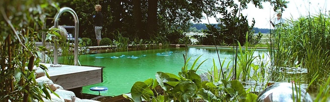 Bild enthält, Hotel, Resort, Garden, Nature, Outdoors, Pool, Water, Swimming Pool, Backyard, Person