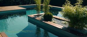 Bild enthält, Pool, Water, Swimming Pool, Backyard, Nature, Outdoors, Yard, Hot Tub