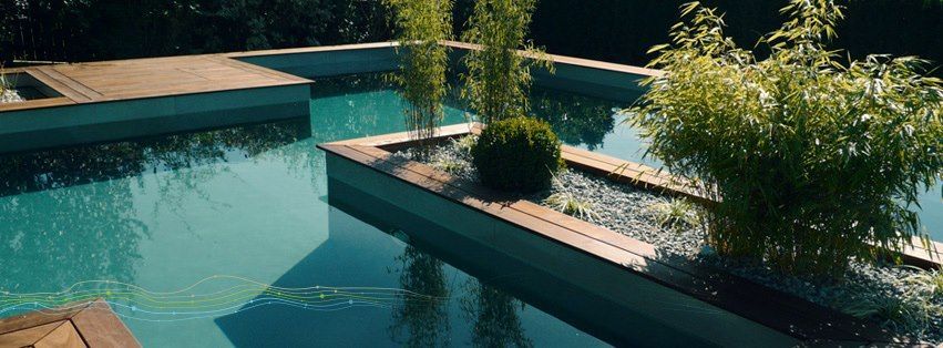 Bild enthält, Pool, Water, Swimming Pool, Backyard, Nature, Outdoors, Yard, Hot Tub