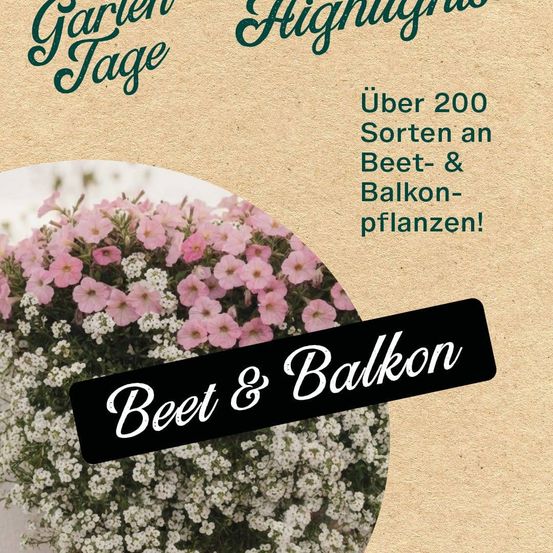 Werbeaktion für Garten Highlight-Tage. Über 200 Sorten von Beet- und Balkonpflanzen.