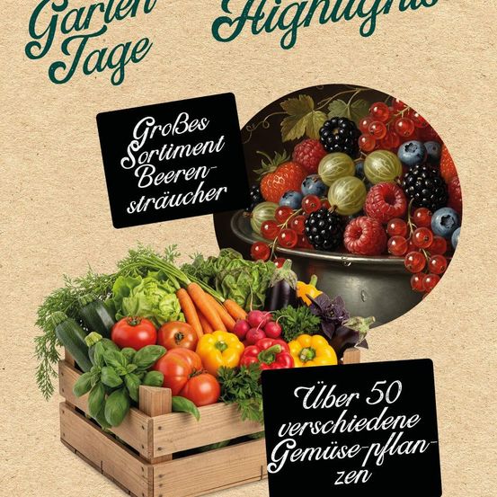 Ein Poster zeigt eine Holzkiste mit frischem Gemüse, einer Schüssel mit Beeren und einem Schild, das 'Garten-Highlights' und 'Über 50 verschiedene Gemüsepflanzen' sagt.