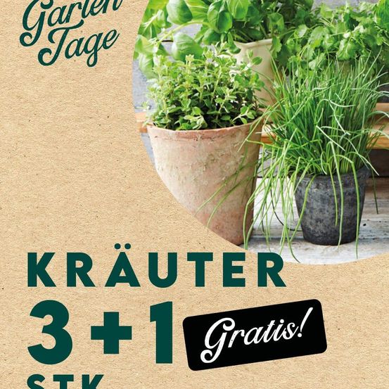 Werbebanner für Gartentage. Vier Kräutertöpfe in der Mitte mit 'Kräuter 3+1 Gratis! Stk'. Der Hintergrund ist warm braun.