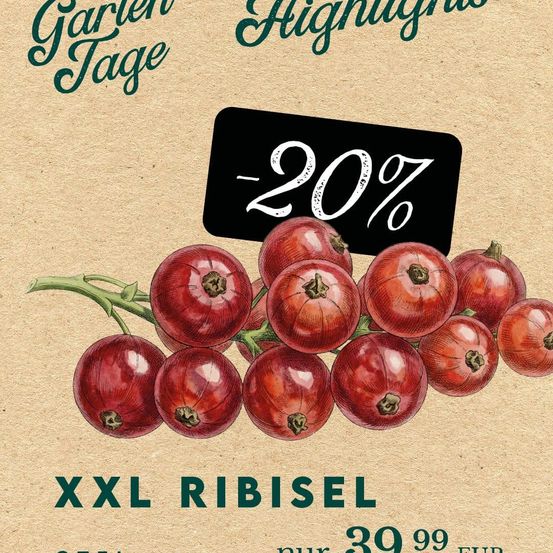 Werbeposter für Garten-Highlights. XXL Rote Johannisbeeren mit 20% Rabatt. Preis 39,99 Euro.