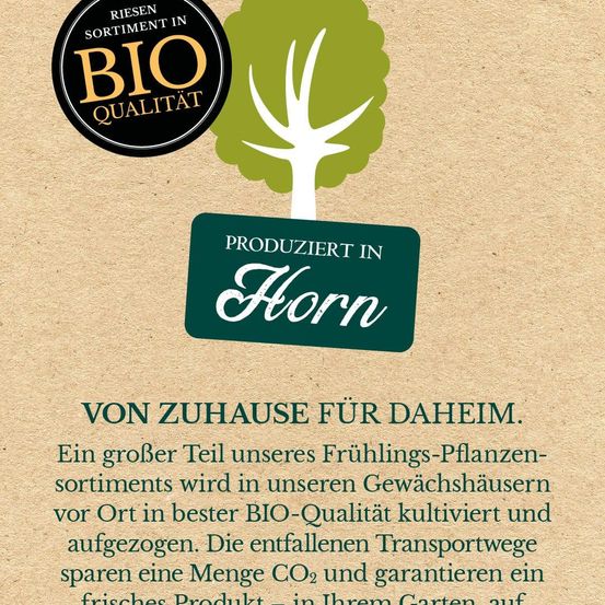 Eine Werbung mit einem Baum und einem Schild, das angibt, dass es in Horn produziert wird. Ein großer Teil unseres Frühlingspflanzensortiments wird vor Ort in unseren Gewächshäusern in bester BIO-Qualität kultiviert und angebaut. Fehlende Transportwege sparen eine Menge CO2 und garantieren ein frisches Produkt in Ihrem Garten.