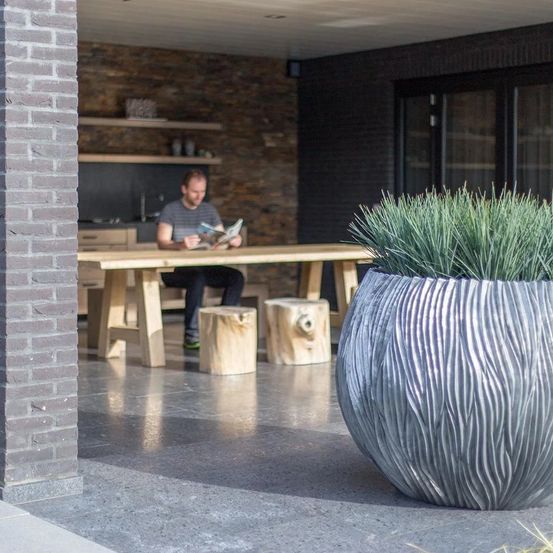 Bild enthält, Plant, Potted Plant, Jar, Planter, Pottery, Vase, Interior Design, Table, Dining Table, Person