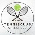 ASKÖ Tennis - Club Spielfeld-Logo