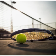 Tennisverein Ferndorf-Logo