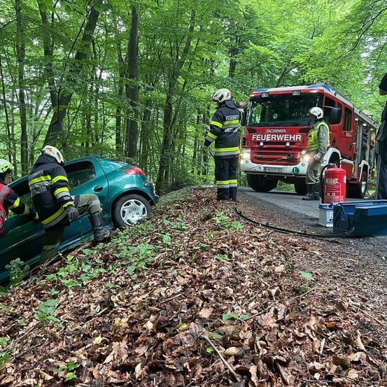 Bild enthält, Adult, Male, Man, Person, Worker, Fun, Vacation, Helmet, Car, Wheel