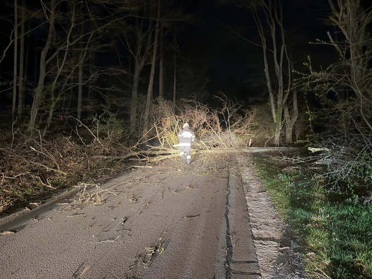 In der Nacht räumt eine Person in einer Warnweste einen umgestürzten Baum auf einer Straße, die von kahlen Bäumen umgeben ist.