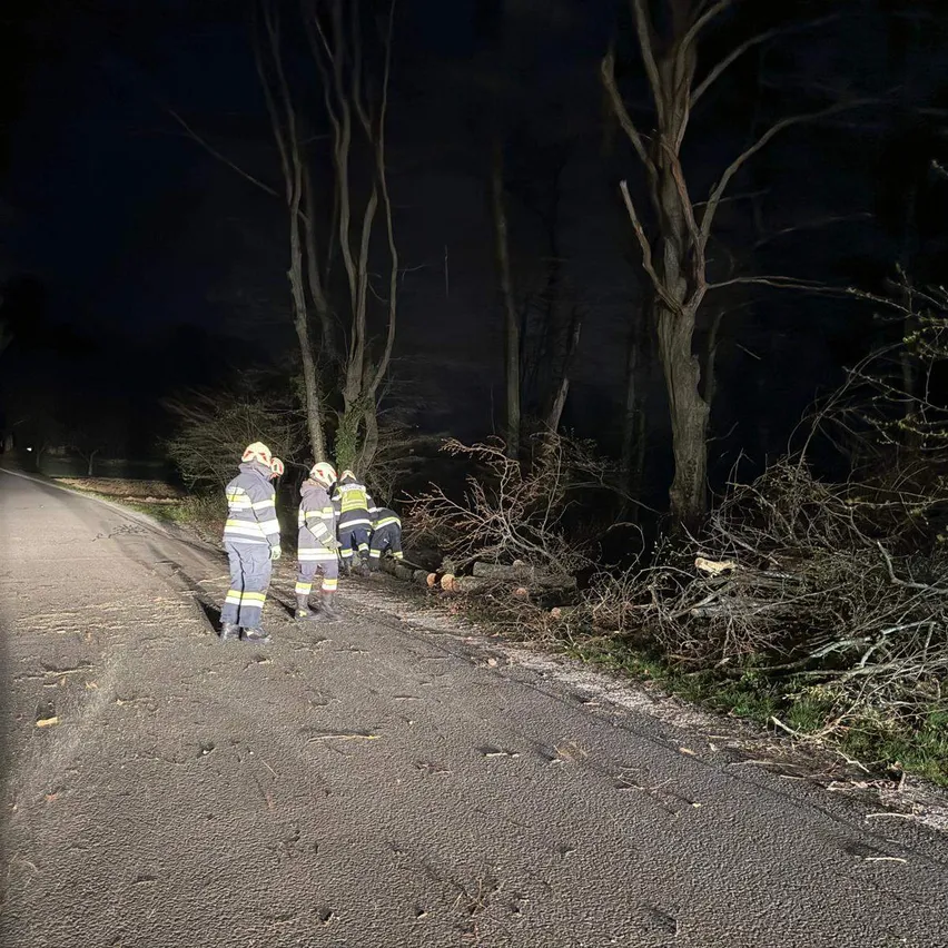 Feuerwehrleute räumen nachts einen umgestürzten Baum von der Straße, unter einem dunklen Himmel.