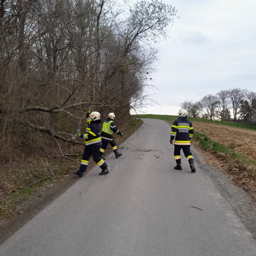Drei Feuerwehrleute gehen entlang einer Straße und entfernen gefallene Äste von einem Baum an der Seite.