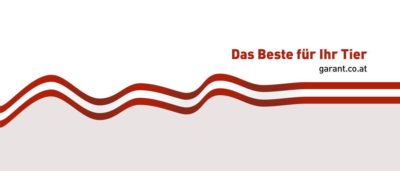 Ein weißer Hintergrund mit fetter roter Schrift, die 'Das Beste für' lautet. Darunter befindet sich ein rotes wellenförmiges Muster.