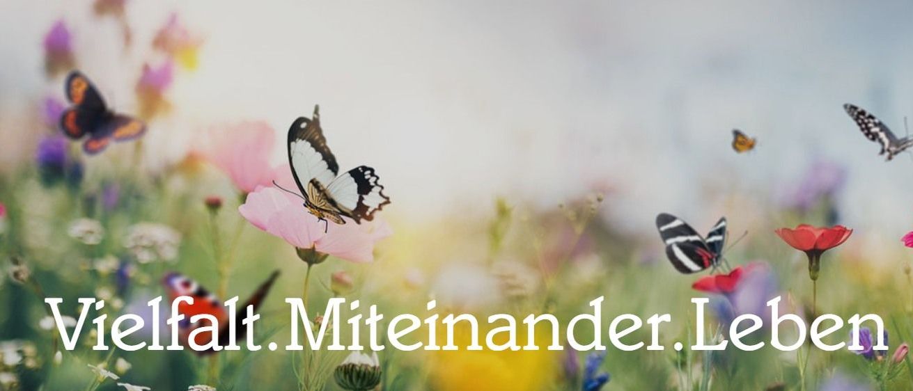 Bild enthält, Nature, Outdoors, Spring, Flower, Petal, Plant, Animal, Butterfly, Insect, Invertebrate