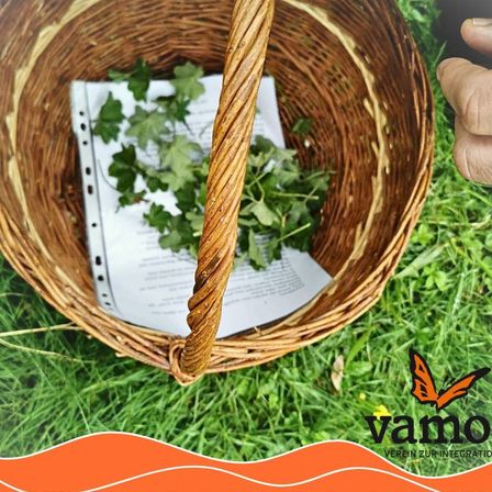 Bild enthält, Fun, Guitar, Musical Instrument, Leisure Activities, Picnic