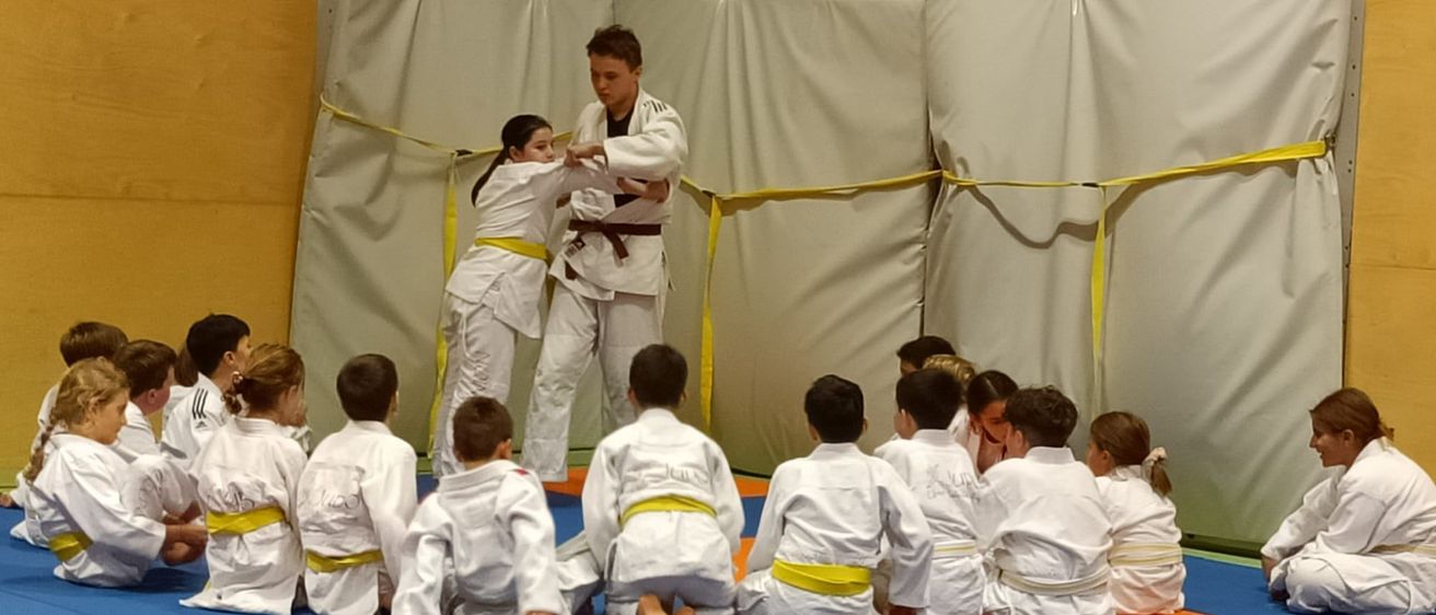 Ein Kampfsportlehrer demonstriert eine Technik für eine Gruppe junger Schüler in einem Dojo.