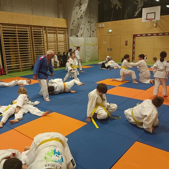 Mehrere Kinder üben Kampfsport auf einer blau-orangefarbenen Matte unter Aufsicht eines Erwachsenen.