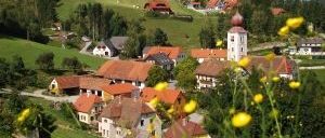 Bild enthält, Nature, Outdoors, Countryside, Rural, Field, Grassland, Village, Meadow, Lawn Mower