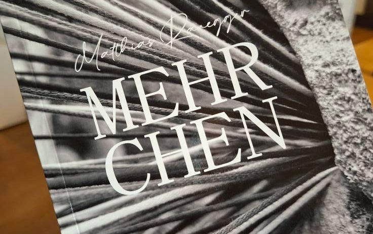 Ein Buch mit dem Titel 'Mehr Chen' von Matthias Dempfle wird hochgehalten. Das Cover zeigt ein strukturiertes Bild von Palmblättern in Schwarz-Weiß.