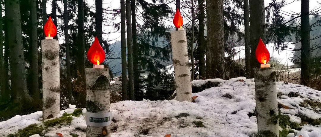 Zwei rote Kerzen auf Birkenstämmen stehen in einem verschneiten Wald. Der Boden ist schneebedeckt.
