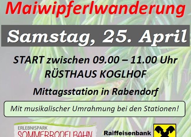 Plakat für die Maiwipferlwanderung am 25. April. Start zwischen 9:00-11:00 Uhr im Rusthaus Koglhof mit Mittagsstation in Rabendorf. Musikalische Unterhaltung an den Stationen. Organisiert von Raiffeisenbank Weiz-Anger.