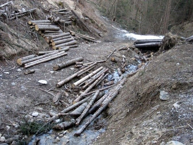 A steep trail with fallen logs and branches on the side, a small stream of water flowing through the middle.