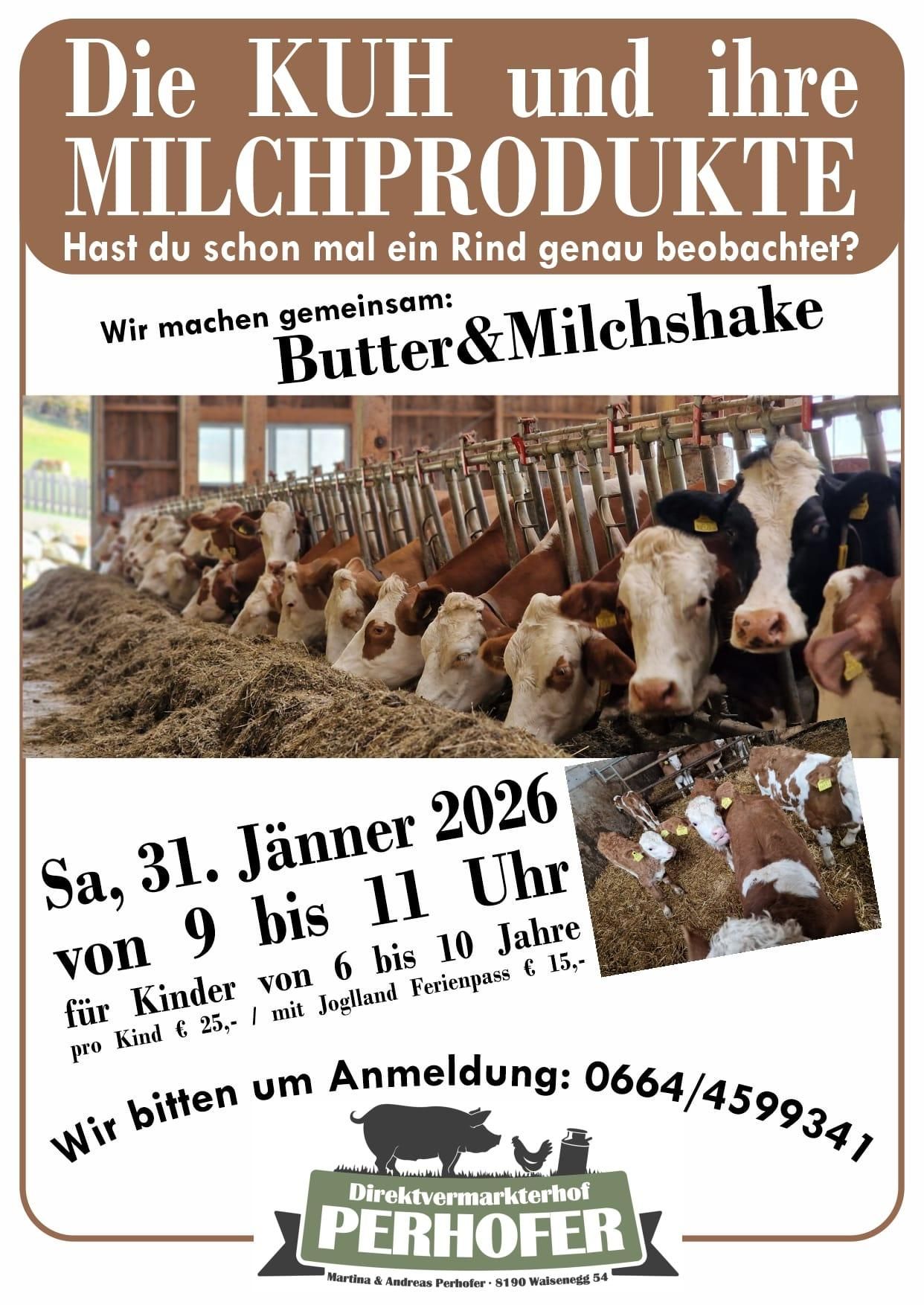 Plakat für einen Bauernhofbesuch. Es werden fütternde Kühe gezeigt. Das Datum ist Samstag, 31. Jänner 2026. Für Kinder von 6 bis 10 Jahren. Kontakt für Anmeldung: 0664/45998.