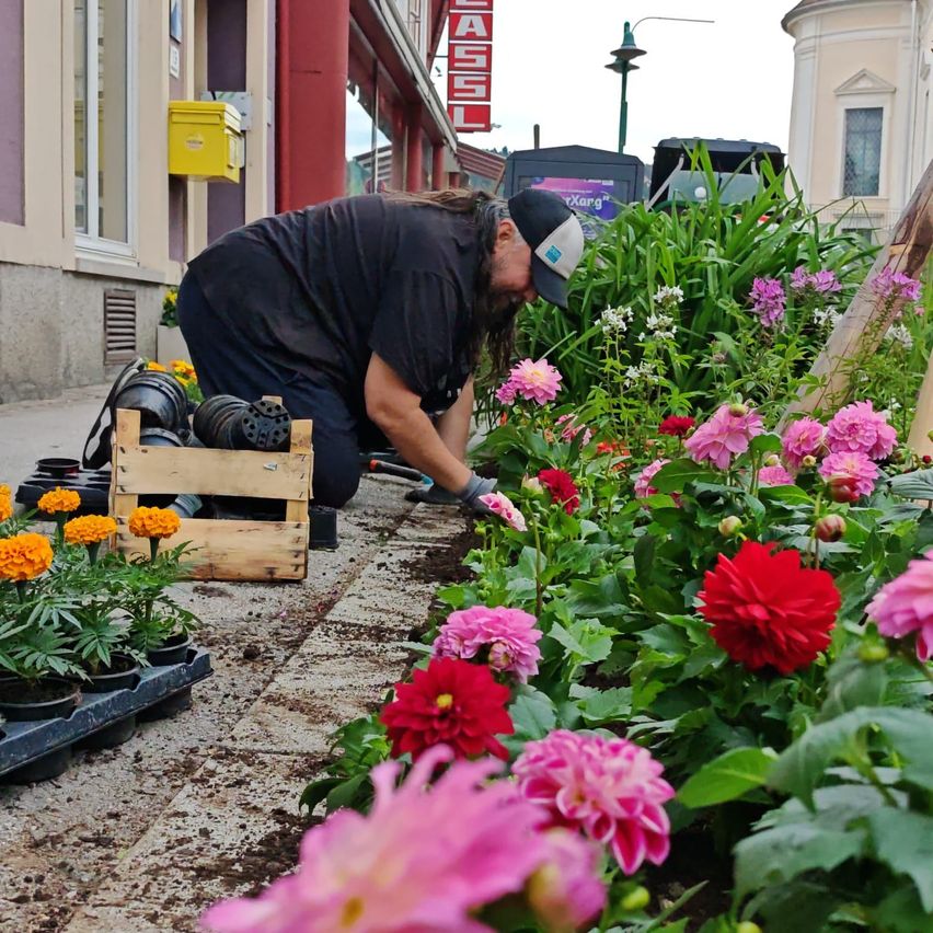 Eine Person pflanzt Blumen in einem Garten am Bürgersteig. Bunte Blumen sind in Töpfen gepflanzt. Ein Holzkisten steht neben den Pflanzen. Ein Gebäude mit einem roten Schild ist im Hintergrund.
