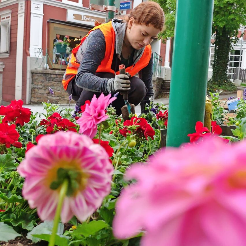 Eine Frau in einer orangefarbenen Weste kümmert sich um einen Garten mit rosa und roten Blumen, mit einem Gebäude und einem Baum im Hintergrund.