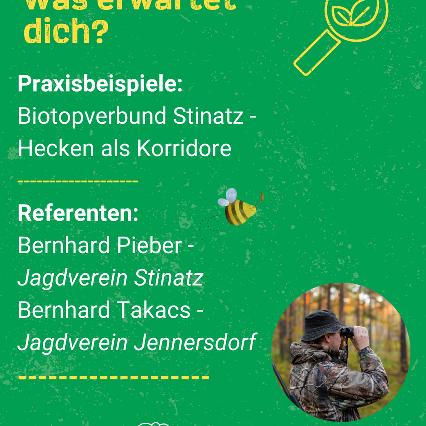 Grünes Poster mit Text und Bild eines Mannes mit Fernglas. Der Text lautet 'Was erwartest du?' und 'Praxisbeispiele: Biotopverbund Stinz - Hecken als Korridore.' Referenten: Bernhard Pieber - Jagdverein Stinz, Bernhard Takacs - Jagdverein Jennersdorf. Ein Bild eines Mannes, der im Wald jagt.
