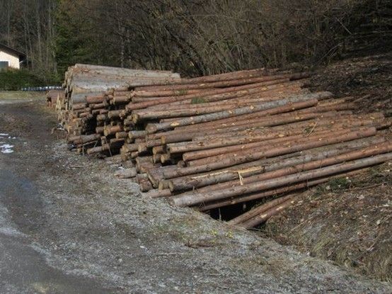 Ein Stapel Holzscheite ist am Straßenrand angeordnet, in der Nähe eines Hauses und Bäumen.
