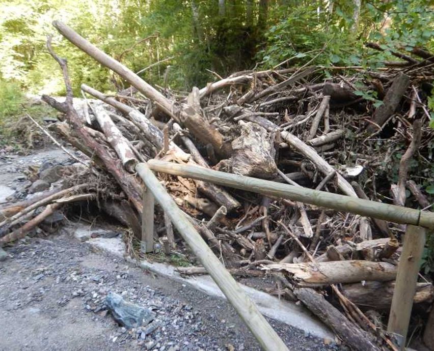 Ein Haufen Äste und Baumstämme ist entlang eines Waldweges gesammelt, teilweise blockiert von einem Holzzaun.