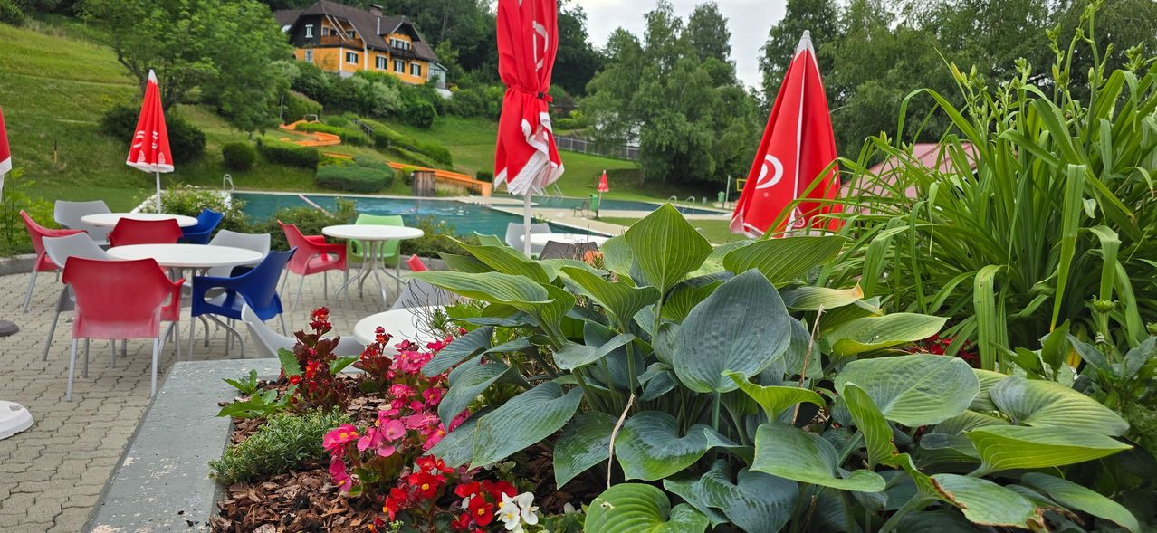 Eine farbenfrohe Gartenszene mit einem Swimmingpool, roten Sonnenschirmen und bunten Blumen. Im Hintergrund sind ein Haus und Bäume zu sehen.
