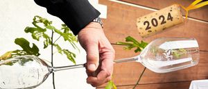 Bild enthält, Garden, Nature, Outdoors, Potted Plant, Gardening, Jar, Planter, Pottery, Vase, Interior Design