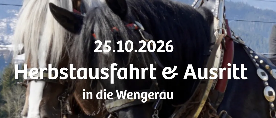 Eine Werbung für eine Pferdekutschenfahrt in Werfenweng, Salzburg, Österreich, am 25. Oktober 2026. Das Bild zeigt ein Pferd und eine Kutsche im Vordergrund, mit Bergen und einem klaren Himmel im Hintergrund.