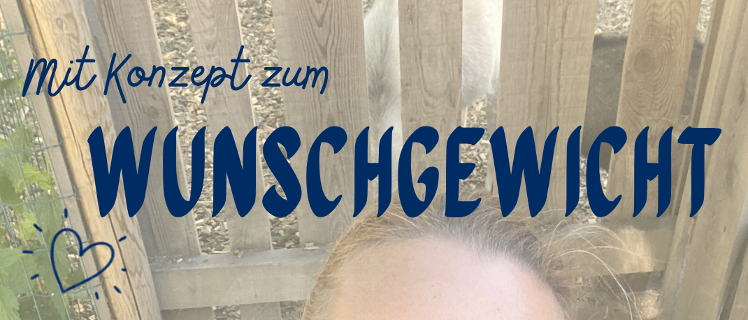 Eine lächelnde Frau mit Brille steht in einem Garten. Ein Herz, eine Strichfigur und Textüberlagerungen sind auf dem Bild. Die Textüberlagerungen lauten '80% Ernährung', '20% Sport' und '100% Mindset'. Unter dem Bild steht der Text 'Kein Verzicht, Mehr Energie, Gemeinsam im Team'.