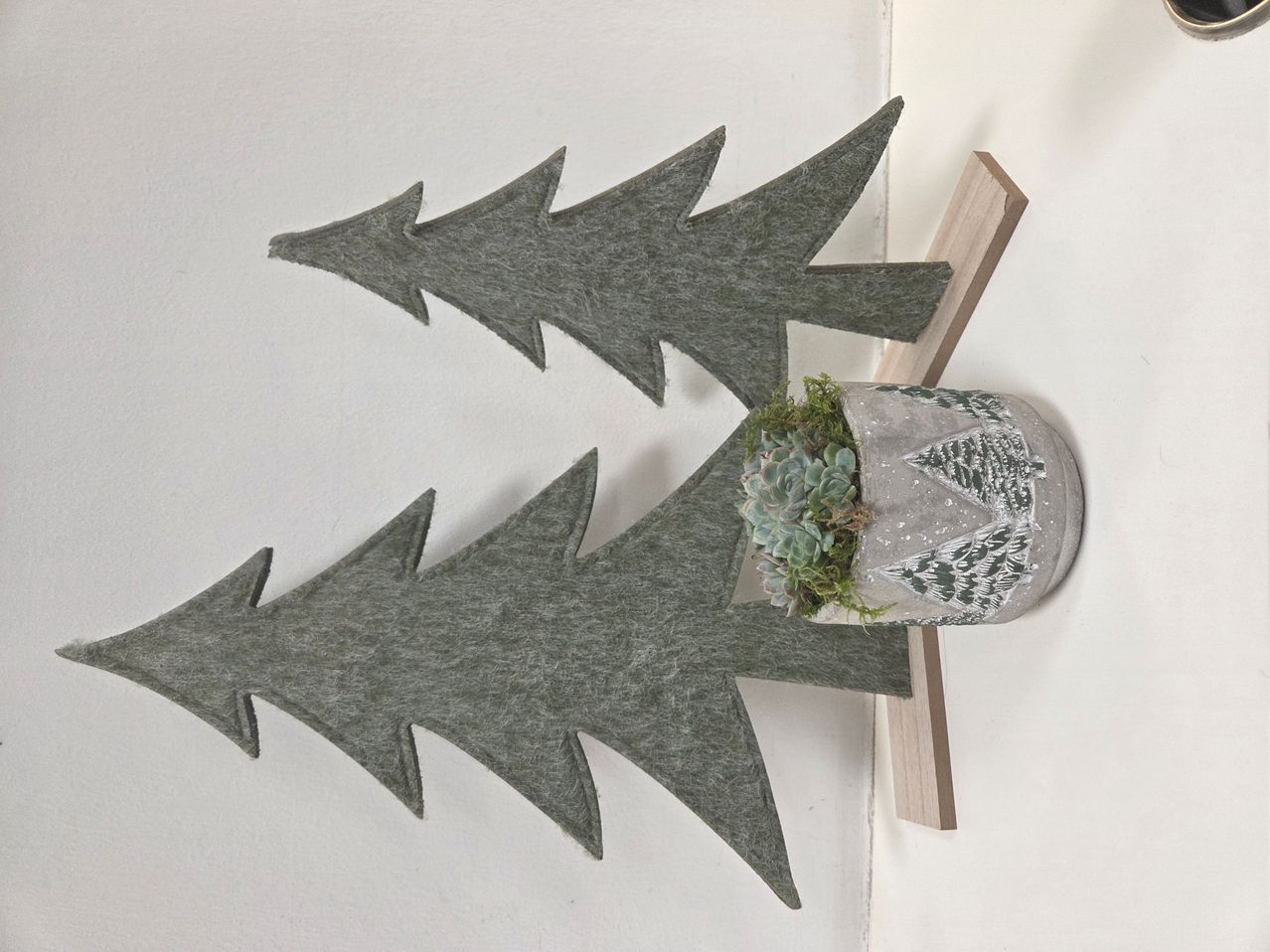 Zwei graue Woll-Weihnachtsbäume sind an einer weißen Wand montiert, mit einer Topf-Sukkulentenpflanze auf einem grauen Topf dazwischen.