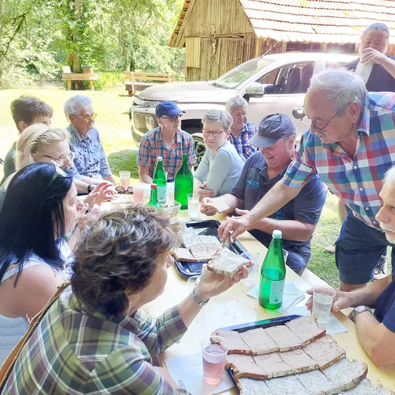 Eine Gruppe älterer Menschen sitzt draußen an einem Tisch und genießt Sandwiches und Getränke. Sie befinden sich in einem Grasbereich mit einem Haus und einem Auto im Hintergrund.
