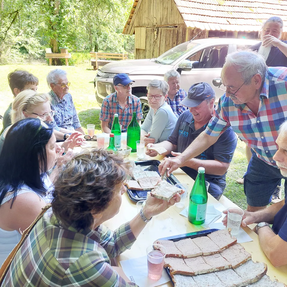 Eine Gruppe älterer Menschen sitzt draußen an einem Tisch und genießt Sandwiches und Getränke. Sie befinden sich in einem Grasbereich mit einem Haus und einem Auto im Hintergrund.