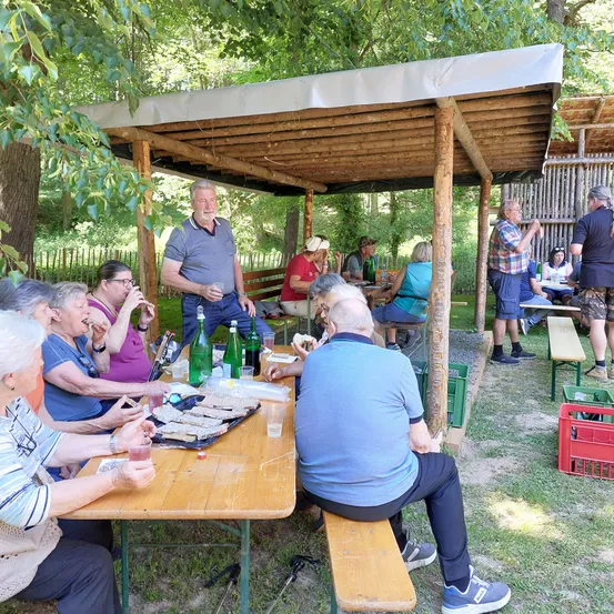 Eine Gruppe älterer Menschen sitzt um einen Tisch in einem Park, genießt Essen und Getränke unter einem Holzpavillon.