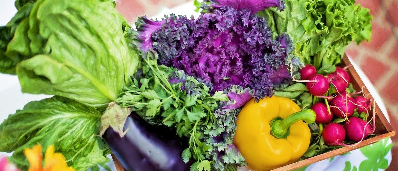 Bild enthält, Food, Produce, Leafy Green Vegetable, Plant, Vegetable