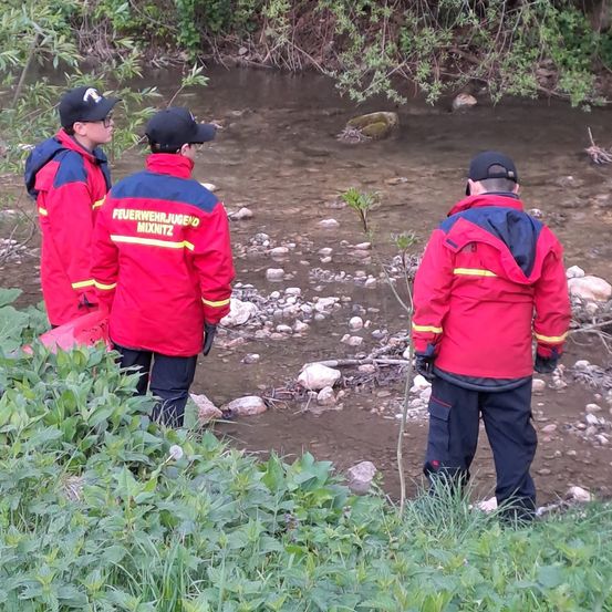 Drei Feuerwehrleute in roten Jacken stehen neben einem Bach mit Felsen und Grünpflanzen. Sie schauen ins Wasser.