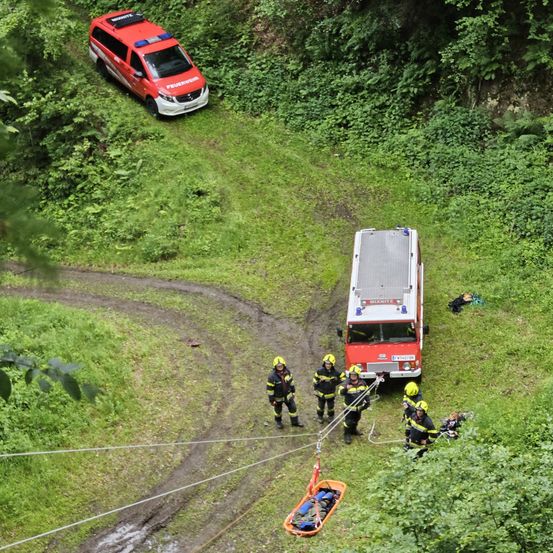 Feuerwehrleute in gelben Helmen retten jemanden von einem steilen, grünen Hang. Ein roter Feuerwehrwagen ist in der Nähe geparkt, und eine Trage wird abgelassen.