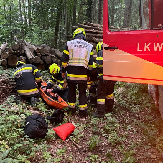 Feuerwehrleute in Schutzausrüstung helfen einer verletzten Person in einem Wald. Ein Feuerwehrwagen mit der Aufschrift 'LKW' ist im Hintergrund zu sehen.