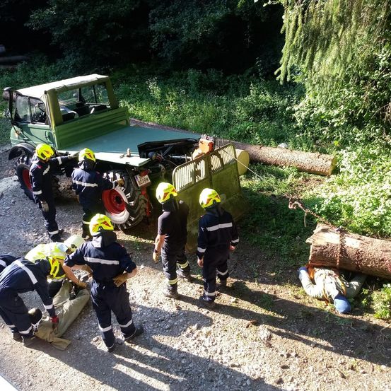 Eine Gruppe von Feuerwehrleuten in Uniform steht um ein grünes Fahrzeug herum. Sie kümmern sich um eine Person, die auf dem Boden liegt. In der Nähe wird ein großer Baumstamm von einer Kette gezogen.