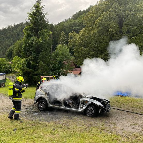 Feuerwehrleute löschen ein brennendes Auto auf einer Landstraße mit einem dichten Wald im Hintergrund.